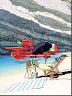 porco1